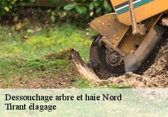 Dessouchage arbre et haie 59 Nord  Tirant élagage