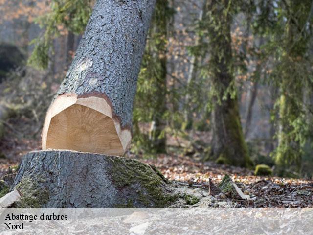 Abattage d'arbres Nord