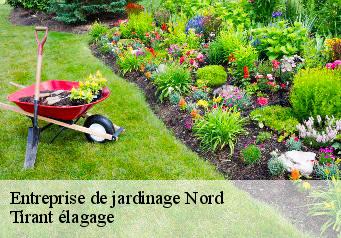 Entreprise de jardinage 59 Nord Tirant élagage