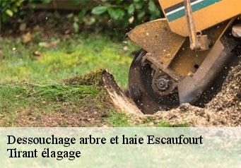 Dessouchage arbre et haie  escaufourt-59360 Tirant élagage