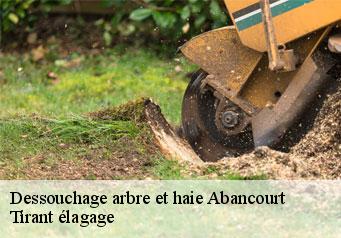 Dessouchage arbre et haie abancourt-59265 Tirant élagage