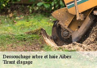 Dessouchage arbre et haie  aibes-59149 Tirant élagage