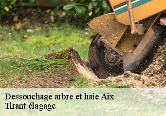 Dessouchage arbre et haie aix-59310 Tirant élagage