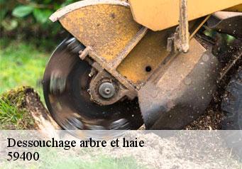 Dessouchage arbre et haie  59400