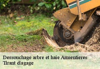 Dessouchage arbre et haie  armentieres-59280 Tirant élagage