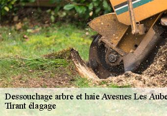 Dessouchage arbre et haie  avesnes-les-aubert-59129 Tirant élagage