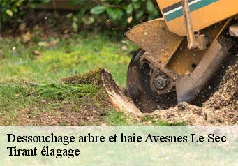 Dessouchage arbre et haie  avesnes-le-sec-59296 Tirant élagage