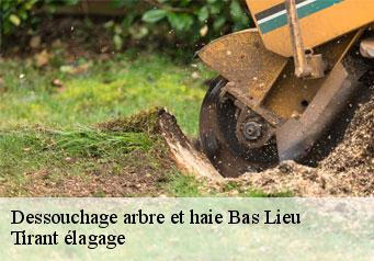 Dessouchage arbre et haie  bas-lieu-59440 Tirant élagage