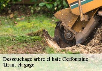 Dessouchage arbre et haie  cerfontaine-59680 Tirant élagage