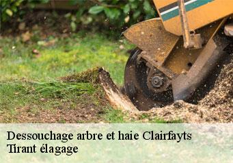 Dessouchage arbre et haie clairfayts-59740 Tirant élagage