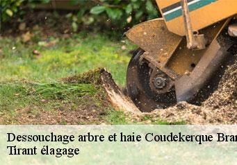 Dessouchage arbre et haie  coudekerque-branche-59210 Tirant élagage