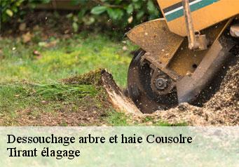 Dessouchage arbre et haie  cousolre-59149 Tirant élagage