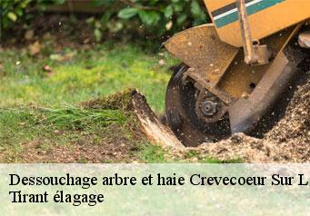 Dessouchage arbre et haie  crevecoeur-sur-l-escaut-59258 Tirant élagage