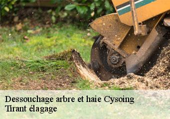 Dessouchage arbre et haie cysoing-59830 Tirant élagage