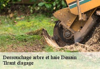 Dessouchage arbre et haie  denain-59220 Tirant élagage