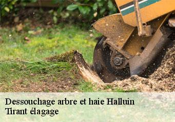 Dessouchage arbre et haie halluin-59250 Tirant élagage