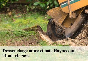 Dessouchage arbre et haie haynecourt-59265 Tirant élagage