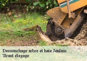 Dessouchage arbre et haie jenlain-59144 Tirant élagage