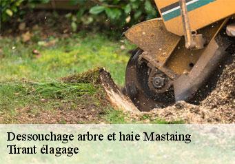 Dessouchage arbre et haie  mastaing-59172 Tirant élagage