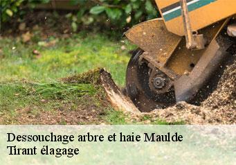 Dessouchage arbre et haie maulde-59158 Tirant élagage