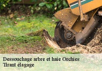 Dessouchage arbre et haie  orchies-59310 Tirant élagage