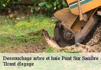 Dessouchage arbre et haie pont-sur-sambre-59138 Tirant élagage