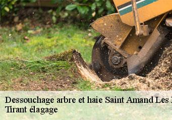 Dessouchage arbre et haie  saint-amand-les-eaux-59230 Tirant élagage