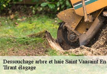 Dessouchage arbre et haie  saint-vaasaint-en-cambresis-59188 Tirant élagage