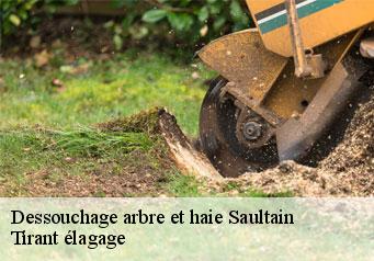 Dessouchage arbre et haie saultain-59990 Tirant élagage