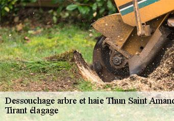 Dessouchage arbre et haie  thun-saint-amand-59158 Tirant élagage