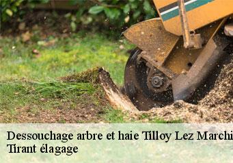 Dessouchage arbre et haie tilloy-lez-marchiennes-59870 Tirant élagage