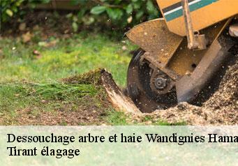 Dessouchage arbre et haie wandignies-hamage-59870 Tirant élagage