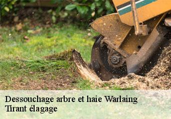 Dessouchage arbre et haie warlaing-59870 Tirant élagage