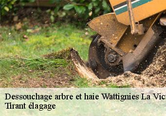 Dessouchage arbre et haie wattignies-la-victoire-59680 Tirant élagage
