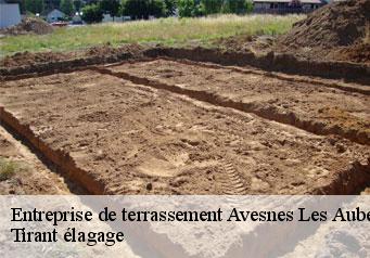 Entreprise de terrassement  avesnes-les-aubert-59129 Tirant élagage