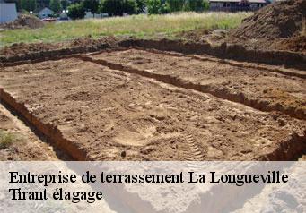 Entreprise de terrassement  la-longueville-59570 Tirant élagage