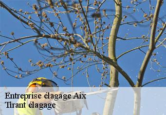 Entreprise élagage aix-59310 Tirant élagage
