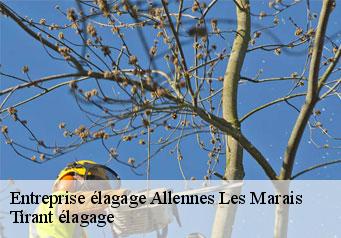 Entreprise élagage  allennes-les-marais-59251 Tirant élagage