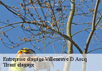 Entreprise élagage  villeneuve-d-ascq-59491 Tirant élagage