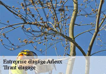 Entreprise élagage arleux-59151 Tirant élagage