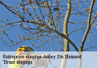 Entreprise élagage  aubry-du-hainaut-59494 Tirant élagage