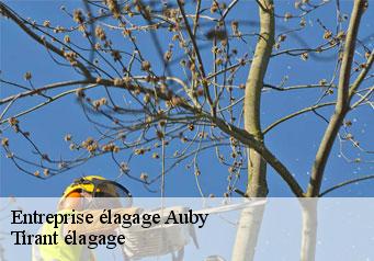 Entreprise élagage auby-59950 Tirant élagage