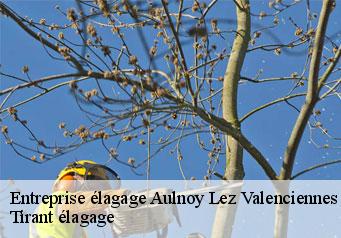 Entreprise élagage  aulnoy-lez-valenciennes-59300 Tirant élagage