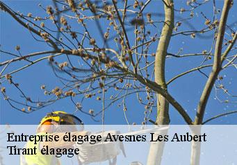 Entreprise élagage  avesnes-les-aubert-59129 Tirant élagage