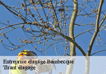 Entreprise élagage bambecque-59470 Tirant élagage