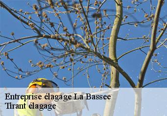 Entreprise élagage  la-bassee-59480 Tirant élagage