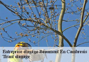 Entreprise élagage  beaumont-en-cambresis-59540 Tirant élagage