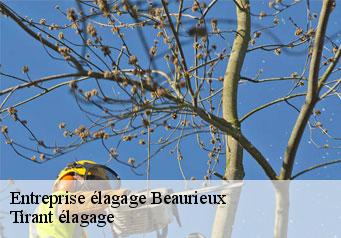 Entreprise élagage beaurieux-59740 Tirant élagage