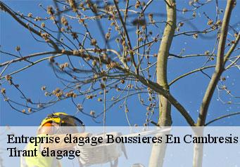 Entreprise élagage boussieres-en-cambresis-59217 Tirant élagage