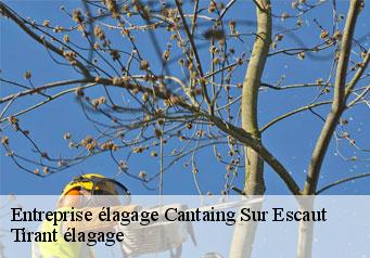 Entreprise élagage  cantaing-sur-escaut-59267 Tirant élagage